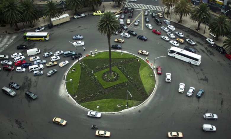 CDMX es hostil para palmeras, hay que elegir especies nativas: bióloga UNAM