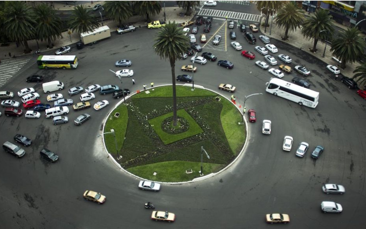 CDMX es hostil para palmeras, hay que elegir especies nativas: bióloga UNAM