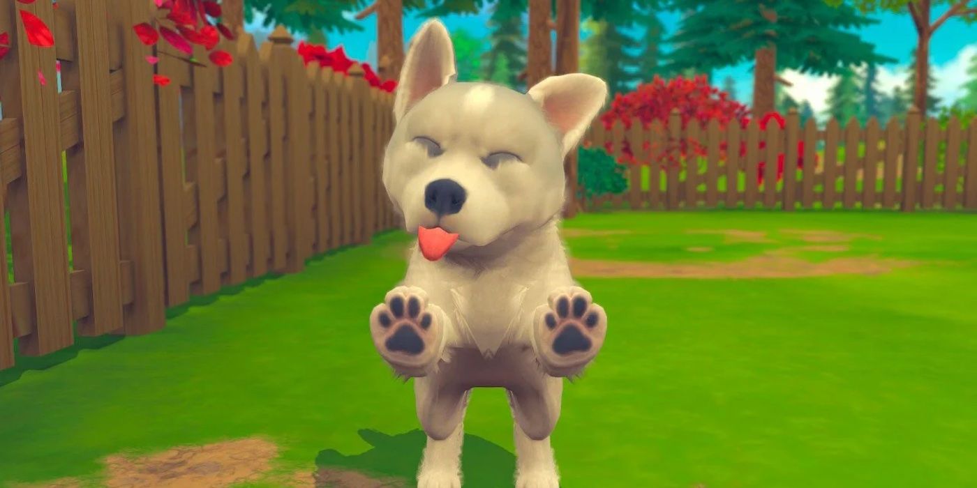 Cachorros perdidos de Nintendogs salvados por un fanático en TikTok viral
