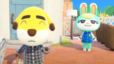 Cada problema de Animal Crossing Villager que el próximo juego puede solucionar
