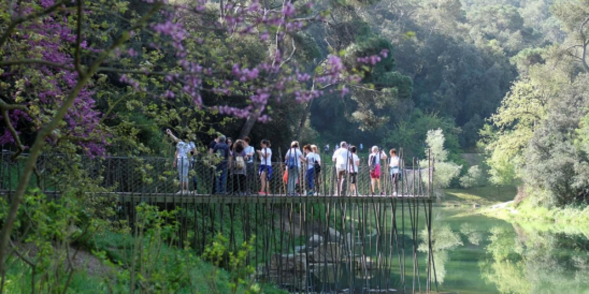 Caminada solidaria contra el cáncer de mama en Barcelona