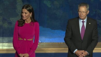 Carmen Lomana ‘carga’ contra la Reina por su último 'look'