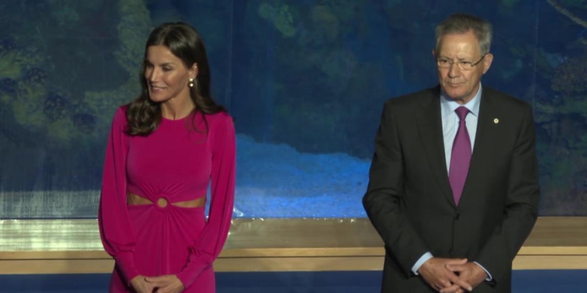 Este es el espectacular vestido 'low cost' que lució la reina Letizia en Valencia