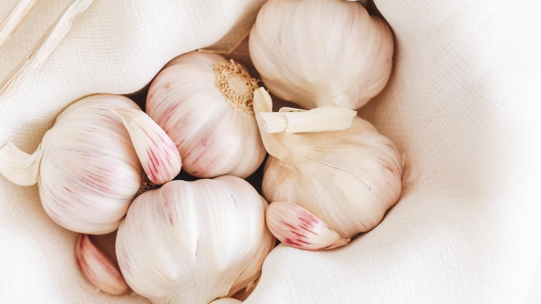 Con este truco, dí adiós a tirar la comida porque jamás se te pondrá mala