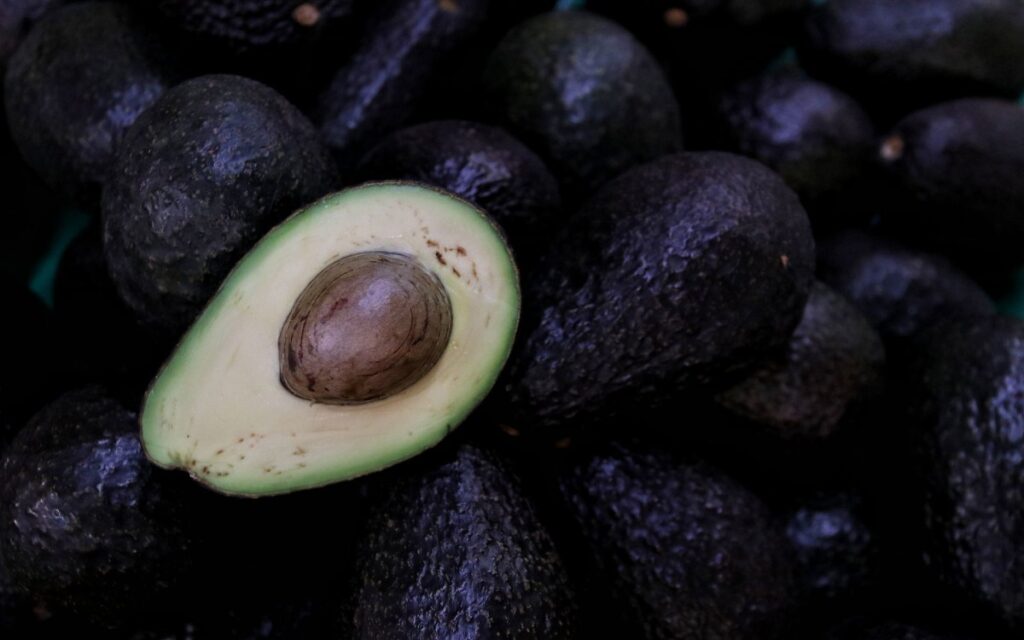 Costa Rica respeta fallo de la OMC y reactiva importación de aguacate mexicano