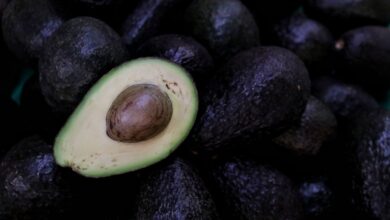Costa Rica respeta fallo de la OMC y reactiva importación de aguacate mexicano