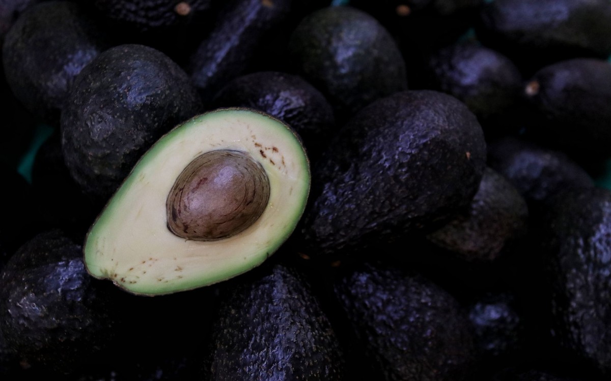 Costa Rica respeta fallo de la OMC y reactiva importación de aguacate mexicano