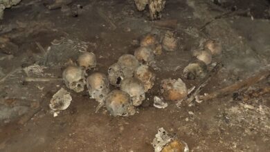 De ‘narcofosa’ a tesoro arqueológico milenario: el hallazgo de 150 cráneos en Chiapas arroja luz sobre las costumbres religiosas prehispánicas