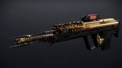 Destiny 2: Cómo obtener el rifle de explorador Tears of Contrition (y God Rolls)