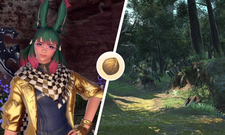 Dónde cultivar nueces Gridanian en FFXIV
