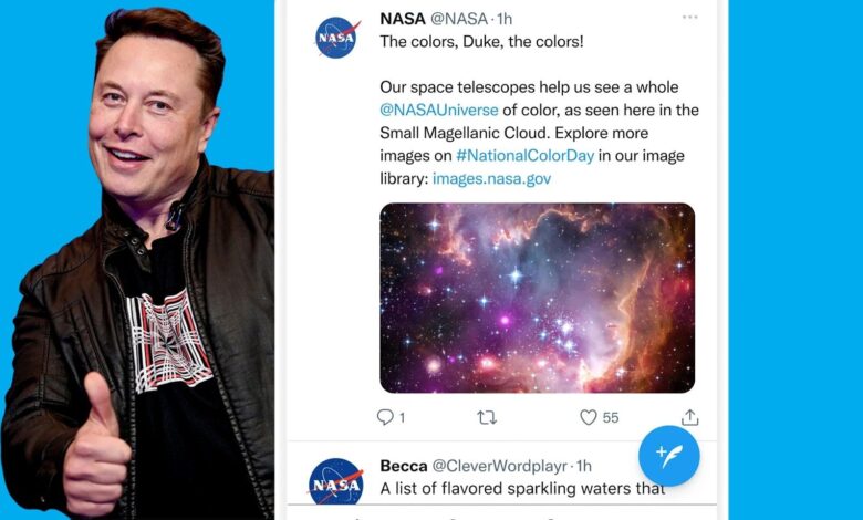 El consejo de Elon Musk para arreglar tu feed de Twitter es uno que ya deberías saber