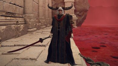 El desfile de modas de Elden Ring permite a los jugadores exhibir su armadura más elegante