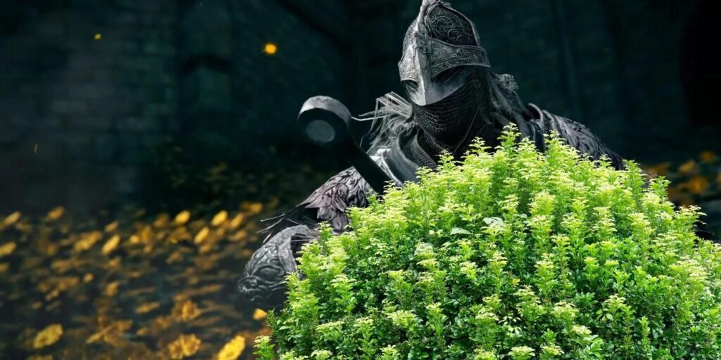 El jugador más paciente de Elden Ring se esconde en Bush durante 3 horas