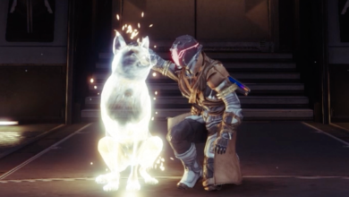 El nuevo emote de la temporada 17 de Destiny 2 te permite acariciar perros con fines benéficos