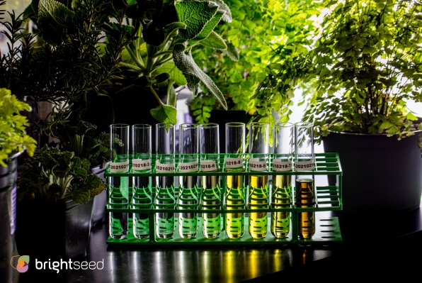 El primer ‘fitonutriente’ detectado por IA de Brightseed llega al mercado junto con una ronda de $68 millones