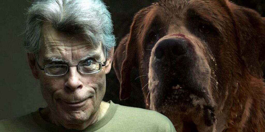 El próximo libro de Stephen King Rattlesnakes es una secuela de Cujo