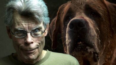 El próximo libro de Stephen King Rattlesnakes es una secuela de Cujo