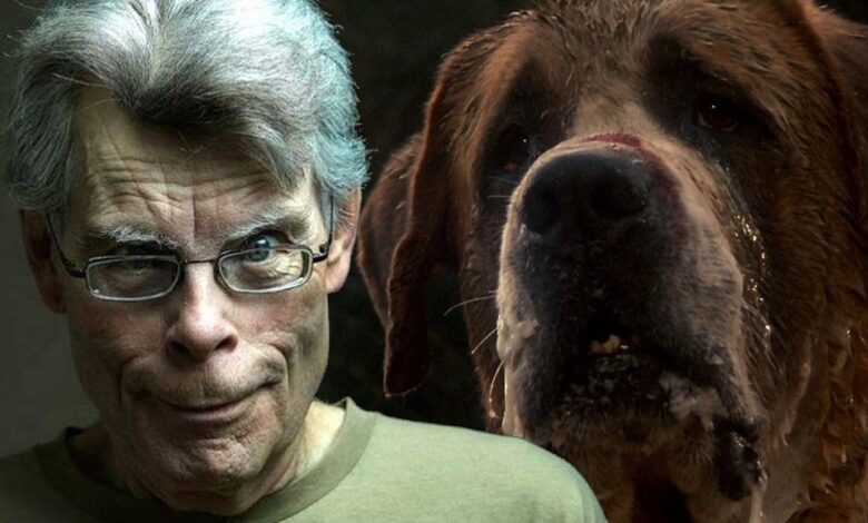 El próximo libro de Stephen King Rattlesnakes es una secuela de Cujo