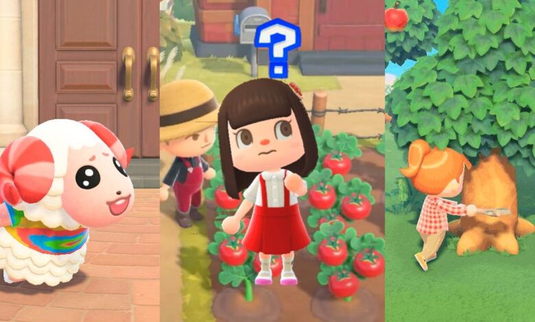 El verdadero punto de Animal Crossing