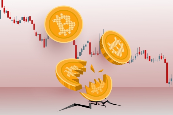 El veterano bitcoiner Dan Held dice que este ‘criptoinvierno’ no será tan duro como otros