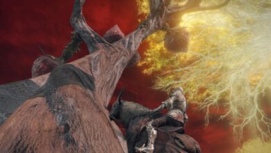 Elden Ring Explorer sube al enorme árbol de Aeonia y apuesta por un reclamo