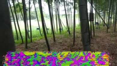 Enjambres de drones navegan de forma autónoma en un bosque denso (y persiguen a un humano)