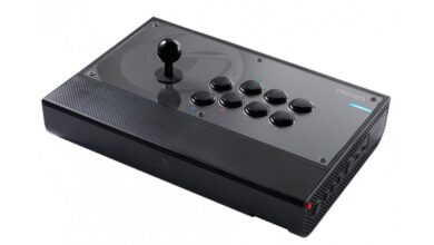 Entrevista a Marie-Laure 'Kayane' Norindr: Daija Arcade Stick