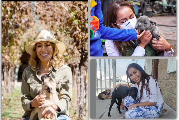 Erika Rosales logra histórica sentencia de un juez a favor de los derechos de un animal violentado