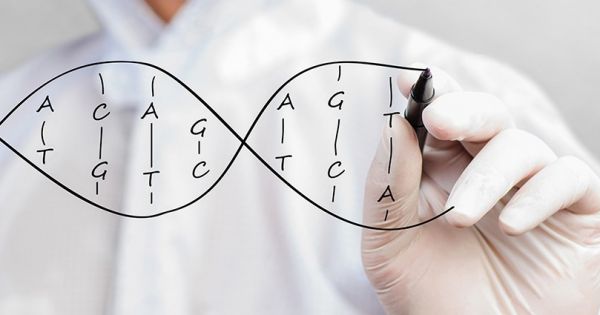 Es una de las “grandes promesas” de la región, le pusieron u$s 20 millones y ahora busca empleados en Argentina