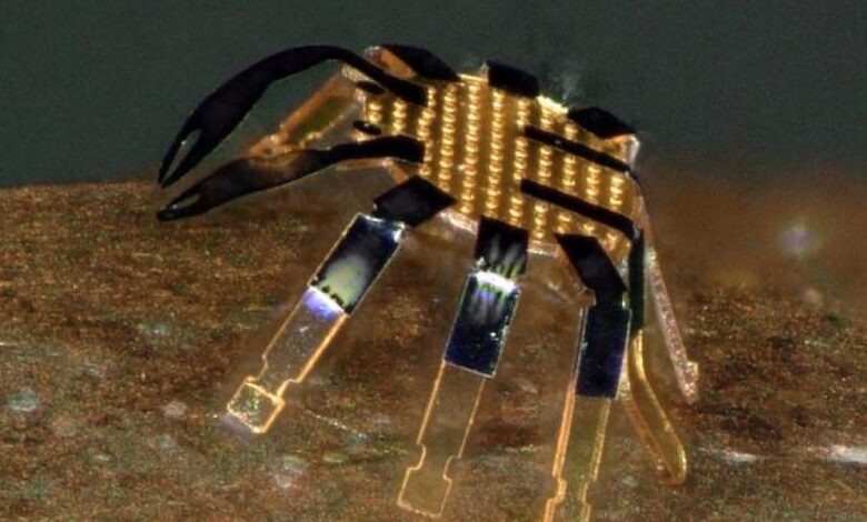 Este robot con forma de cangrejo es milimétrico y podría ayudar en intervenciones quirúrgicas