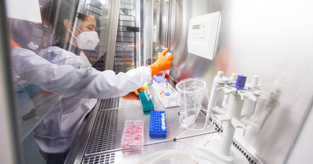 Europa recibe la viruela del simio con un toque de fatalismo