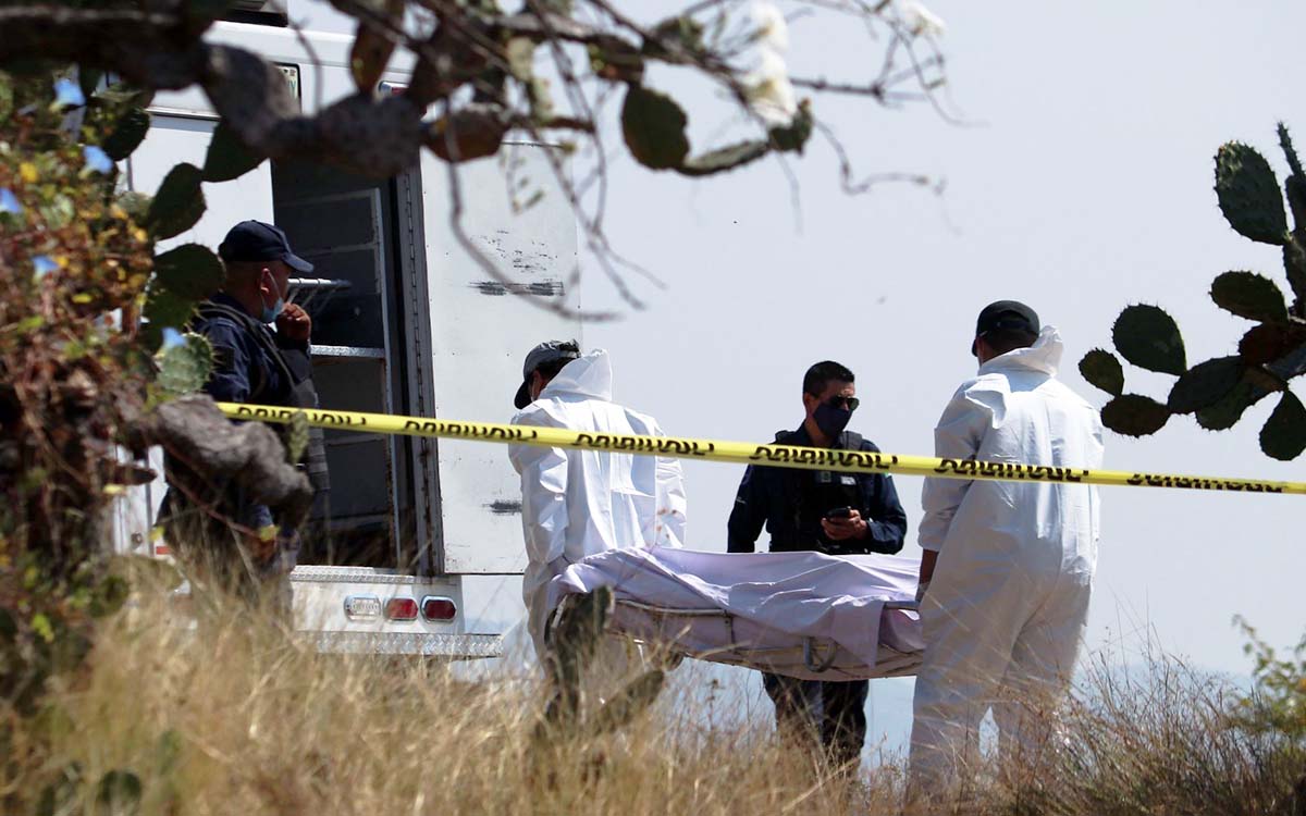 Expertos de la UNAM elaboran guías para valorar pruebas periciales