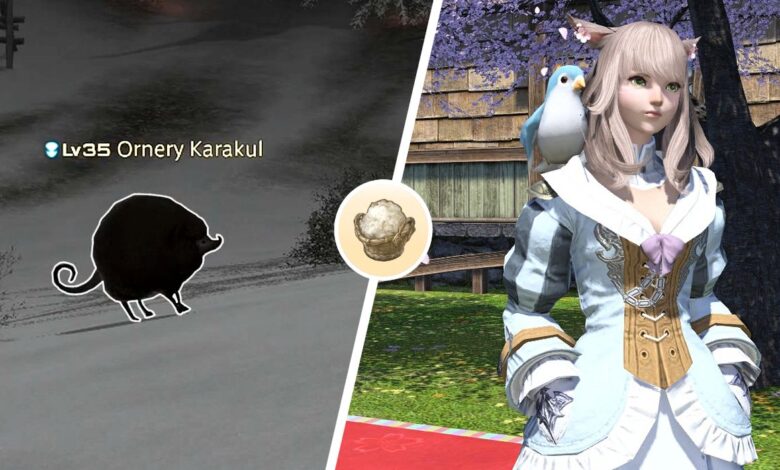 FFXIV: cómo cultivar vellón (y para qué sirve)