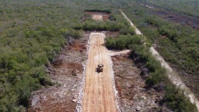 Gobierno federal dice que superará la suspensión definitiva al Tren Maya