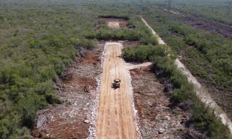 Gobierno federal dice que superará la suspensión definitiva al Tren Maya