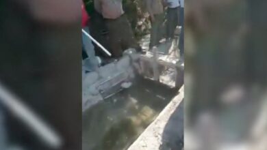 Grupo armado irrumpe viñedos de Casa Madero por escasez de agua | Videos