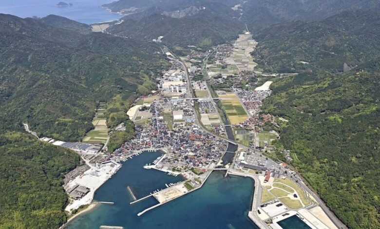 Hombre japonés apuesta los fondos de covid de una ciudad