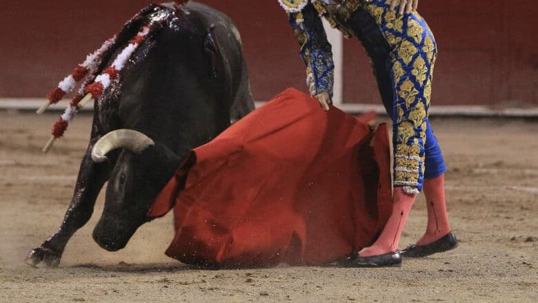 Juez federal suspende corridas de toros en la Plaza México; autoridades pueden impugnar