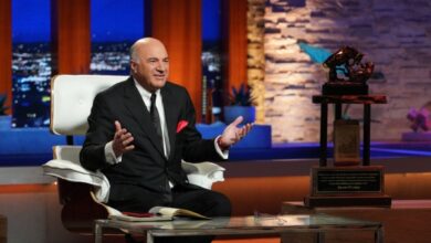 Kevin O'Leary de Shark Tank habla de criptomonedas y por qué es profesional de las monedas estables