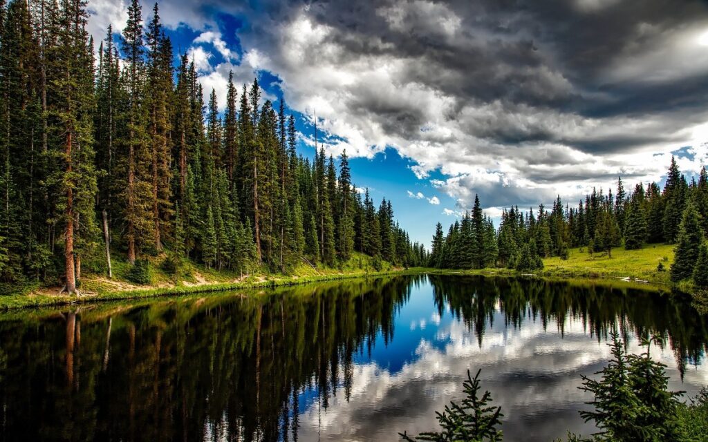 La deforestación mundial disminuyó, pero los bosques tropicales siguen amenazados: FAO