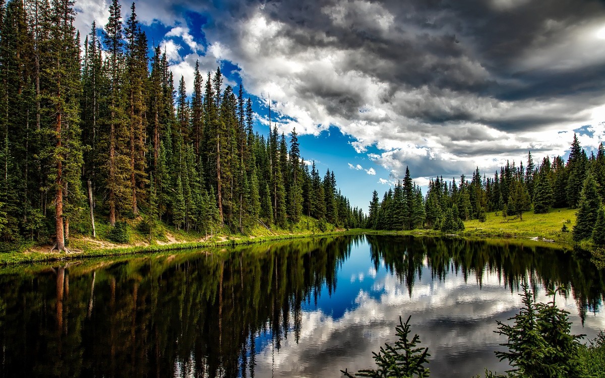La deforestación mundial disminuyó, pero los bosques tropicales siguen amenazados: FAO