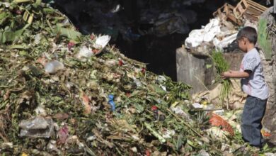 La inseguridad alimentaria se dispara; "si no alimentamos a la gente, nutrimos los conflictos": Guterres