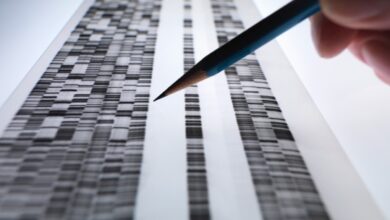 La startup de criptoforense Chainalysis recauda $ 170 millones a una valoración de $ 8.6B