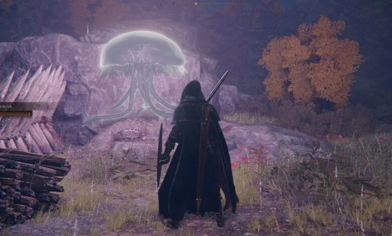 La teoría de los fanáticos de Elden Ring dice que las medusas esconden un secreto oscuro e inquietante