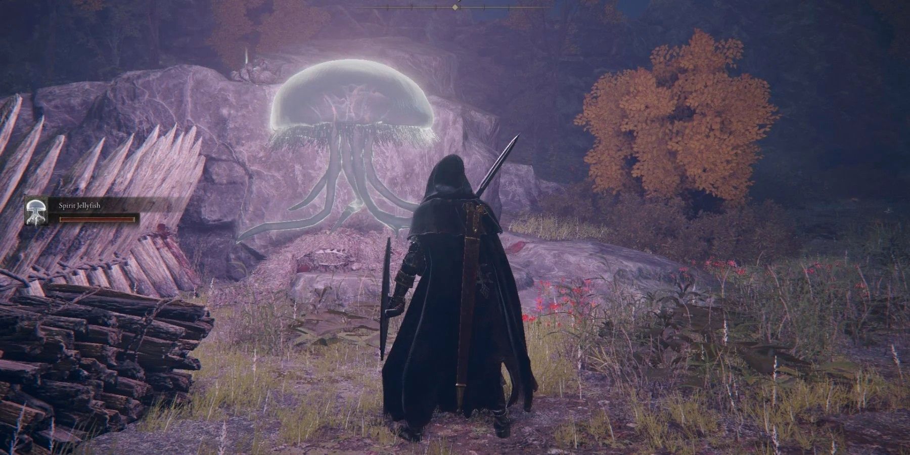 La teoría de los fanáticos de Elden Ring dice que las medusas esconden un secreto oscuro e inquietante