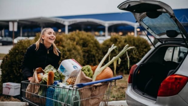 carrito de la compra