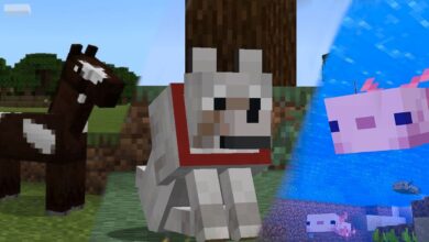 Las mejores turbas de Minecraft para domesticar y por qué