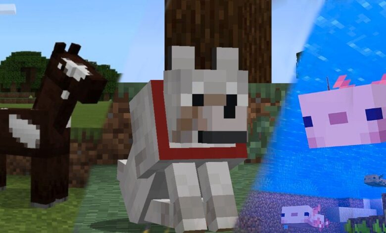 Las mejores turbas de Minecraft para domesticar y por qué