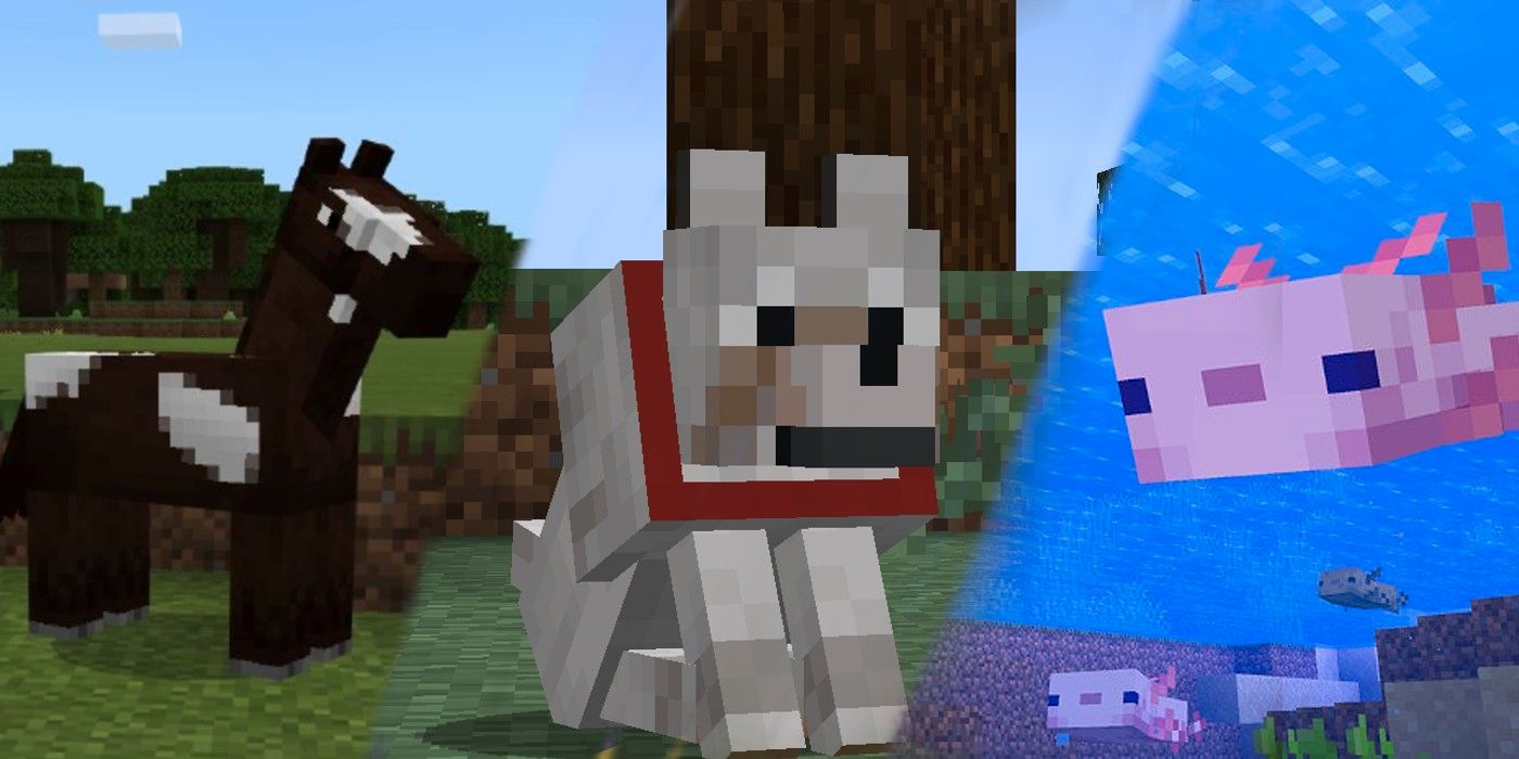 Las mejores turbas de Minecraft para domesticar y por qué