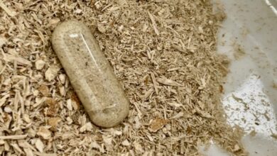 Las nuevas empresas psicodélicas están en un largo viaje hacia los mercados de consumo, pero estos 5 VC están tomando el viaje